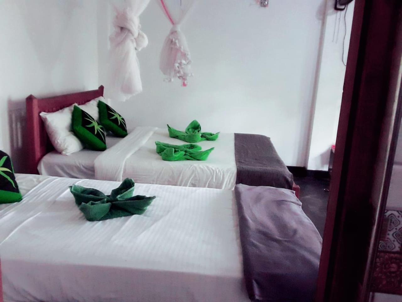 Enthral View Homestay เอลลา ภายนอก รูปภาพ