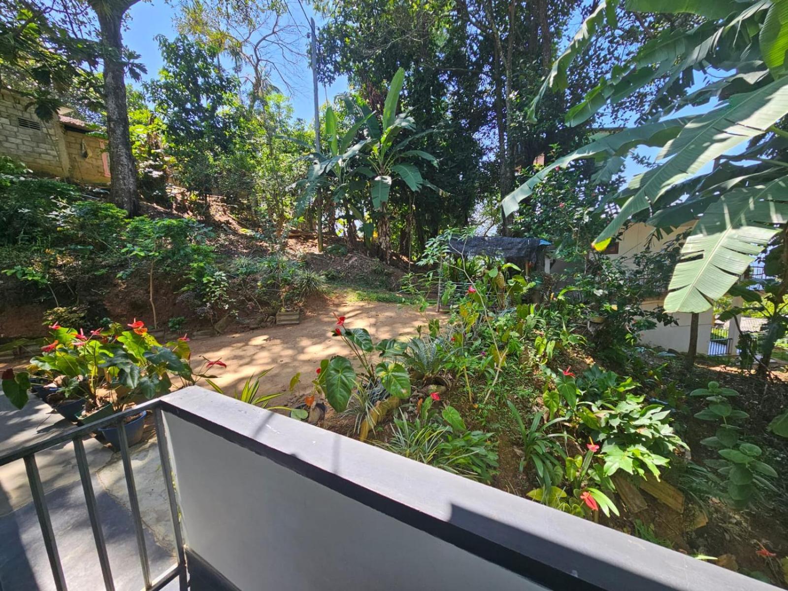 Enthral View Homestay เอลลา ภายนอก รูปภาพ